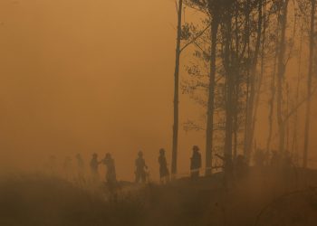 ¿Cómo se encuentran los incendios en Chile? Te contamos