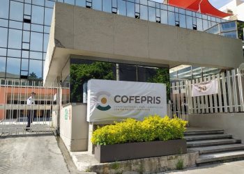 Cofepris alerta que el producto Axapara (paracetamol solución inyectable) no está autorizado