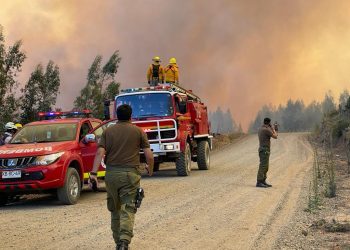 Asciende a 12 el número de muertos por incendios en Chile
