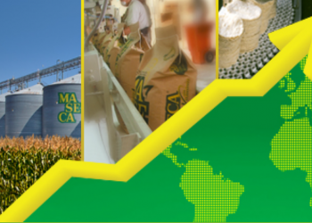 Gruma reporta un impulso en su comercialización