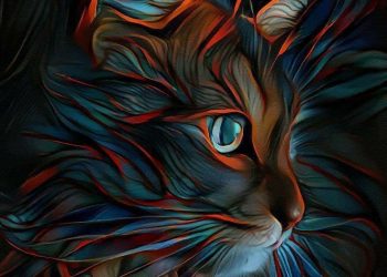 20 de febrero: Día Internacional del Gato