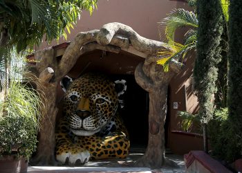 Desaparecen, venden y sacrifican a animales en zoológico de Guerrero
