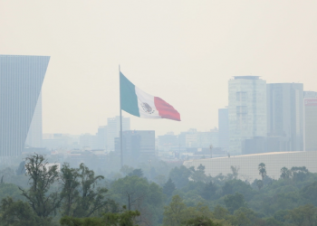 La calidad del aire no ha sido buena: de los 37 días que han transcurrido solo hemos tenido 9 días limpios: Greenpeace México
