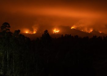 Se eleva a 24 el número de muertos por los incendios en Chile