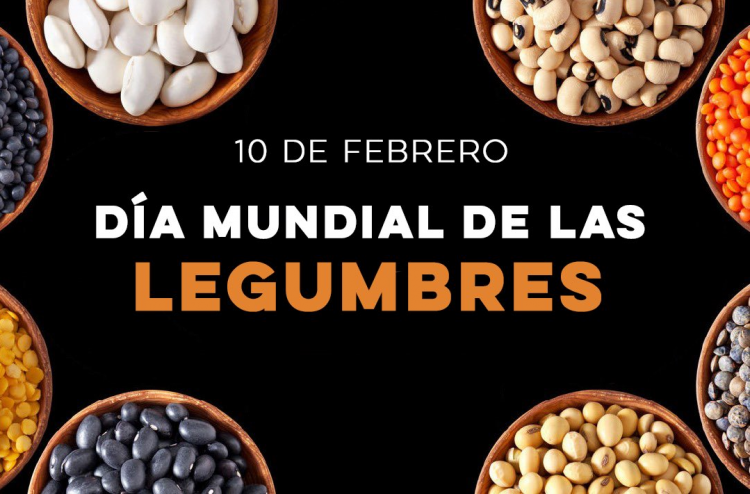 Hoy Es El Día Mundial De Las Legumbres Enfoque Noticias 2190