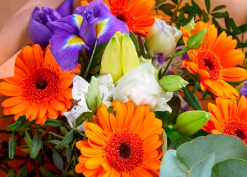 Es un día muy especial que tiene un impacto muy importante en la economía de la CDMX: Akabani