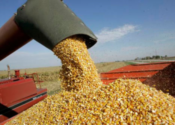 Ucrania acusa a Rusia de boicotear el acuerdo para la exportación de grano