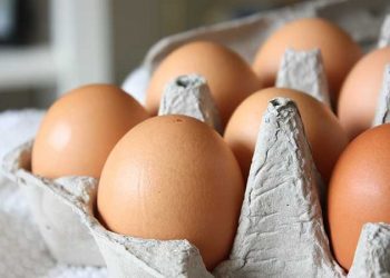 Gripe aviar e inflación empujan a estadounidenses a comprar huevos en México