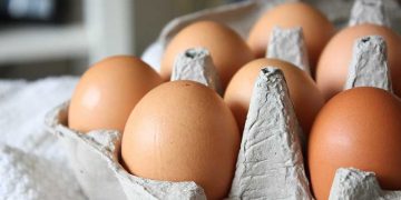 Gripe aviar e inflación empujan a estadounidenses a comprar huevos en México