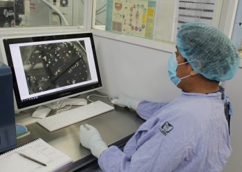 Con Banco de células de cordón umbilical IMSS ha realizado trasplantes de médula ósea a menores con padecimientos oncológicos