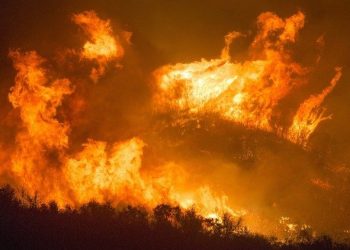 Desciende a 21 los incendios activos más importantes en Chile, la cifra más baja del año