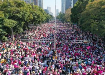 El domingo saldremos a pedirle a la Corte que proteja a la constitución y al INE, no es una marcha en contra de López Obrador