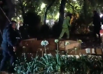 Retiran plantón que promovía el uso lúdico de la marihuana en inmediaciones del Senado