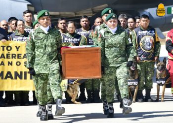 Llegan a México los restos de Proteo, perrito rescatista que murió en Turquía