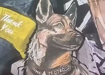 Con emotivo video, Sedena despidió a Proteo