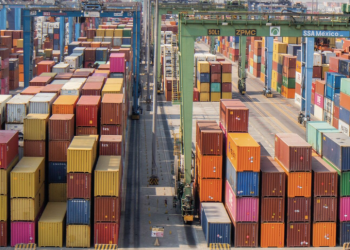 Militarización de puertos contiene términos muy vagos, la corte debe implementar limites: Abogado