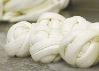 Queso Oaxaca está entre los mejores del mundo, aquí te contamos