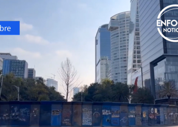 ¿Cuál será el destino del Ahuehuete de Reforma?