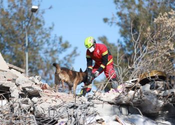 Rescatistas mexicanos apoyan en 70 edificios en Turquía, informa Ebrard