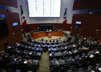 Proponen en predictamen del Plan B no aprobar la eliminación de la cláusula de la vida eterna, que enviaron los diputados