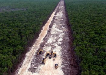 No afecta en nada, dice AMLO por suspensión de tramo 5 del Tren Maya por amparos