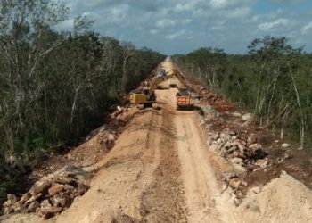 La suspensión corresponde exclusivamente a la tala y desmonte de la selva en el tramo 5 del Tren Maya