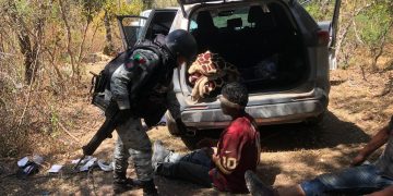 En Guerrero, fuerzas federales rescatan a cinco personas privadas de la libertad y recuperan ventilados