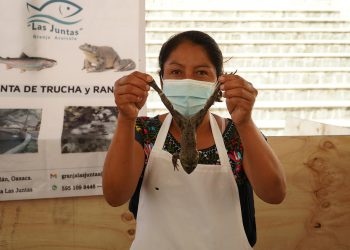 Las ranas experimentan un auge gastronómico durante la Cuaresma