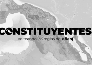 “Constituyentes” busca cambiar las formas en las que decidimos y nos constituimos como país: Fernández