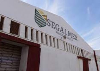 Juez otorga orden de aprehensión en contra de 22 personas por el desfalco multimillonario al patrimonio de SEGALMEX