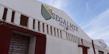 Juez otorga orden de aprehensión en contra de 22 personas por el desfalco multimillonario al patrimonio de SEGALMEX