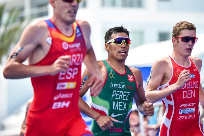 Lizeth Rueda lidera equipo mexicano de triatlón a Serie de Campeonato en  Hamburgo - Enfoque Noticias