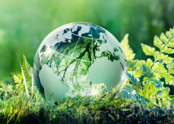 Análisis de la Importancia y relevancia que tiene la educación para los profesionales en materia de sostenibilidad