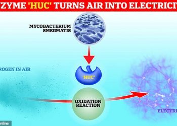 Una enzima puede convertir aire en energía