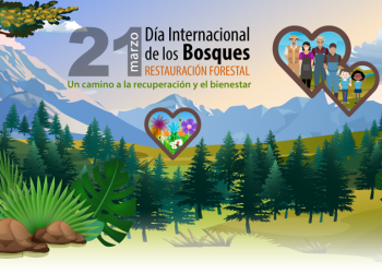 Hoy es el Día Internacional de los Bosques