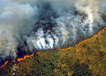 Los incendios en la Amazonía brasileña crecieron un 15.9% en febrero
