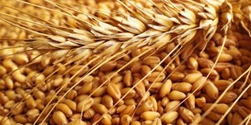 Rusia ofrece ampliar solo dos meses la exportación de cereal por el Mar Negro