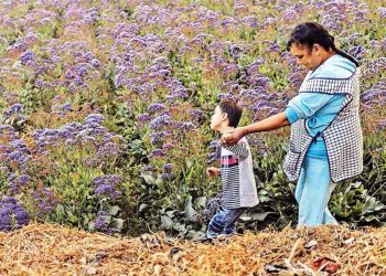 Mexicanos brillan en el World Press Photo