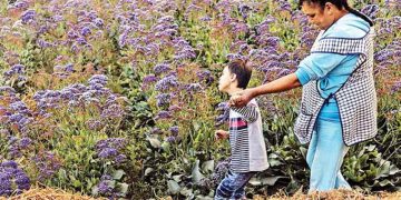 Mexicanos brillan en el World Press Photo