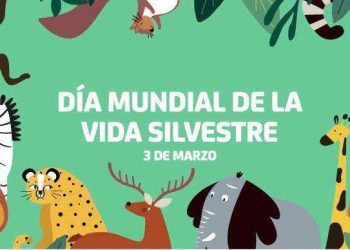 Día Mundial de la Vida Silvestre ¿Qué pasa con la VI extinción?