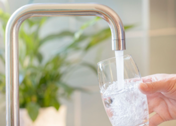 Hombre ingiere agua de grifo y muere por infección de ameba “comecerebros”