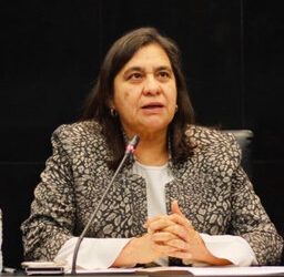 Leticia Bonifaz: Suspensión al Plan B de la Reforma Electoral