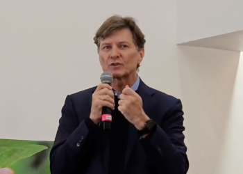 Lo único organizado en México es el crimen, no hay una estrategia y voluntad del gobierno para combatirlo: De la Madrid