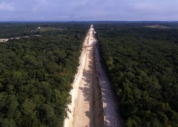 Los amparos contra el Tren Maya no se han caído, el proceso legal continúa: Selvame del Tren  