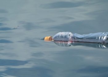 Científicos descubren un aumento sin precedentes de plástico en los océanos