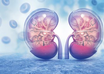 ¿Qué tan importante es la función renal? 12.2% de los mexicanos tiene algún problema: Dr. Kelber