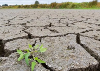 Viviremos el cuarto año de sequía continúa, la afectación es directa a todos los servicios: Luege Tamargo 