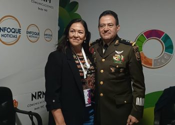 El Tren Maya como negocio es viable: Director del Tren Maya