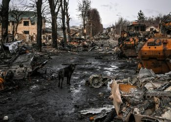 Las autoridades rusas cometieron crímenes de guerra en Ucrania, asegura la ONU