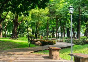 Científicos urgen a cuidar y aumentar espacios verdes en favor de la salud humana